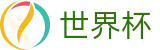 FIFA 2026世界杯 · 安全加密通道